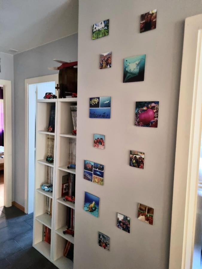 Appartement Avec Terrasse シオン エクステリア 写真